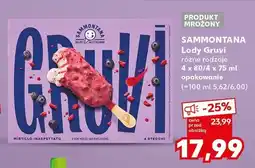 Kaufland Lody Gruvi Sammontana, różne rodzaje oferta