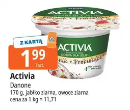 E.Leclerc Jogurt Activia jabłko ziarna, owoce ziarna Danone oferta