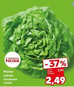 Kaufland Polska sałata masłowa sztuka oferta