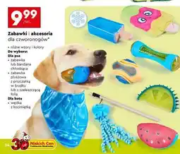 Biedronka Zabawki i akcesoria dla czworonogów oferta
