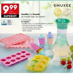 Biedronka Karafka lub foremki do kostek lodu lub lodów oferta