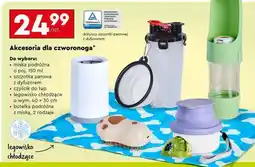Biedronka Akcesoria dla czworonoga oferta