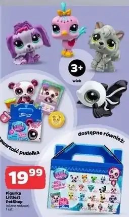 Netto Figurka kolekcyjna Littlest Pet Shop oferta