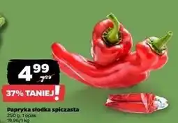 Netto Papryka słodka szpiczasta oferta