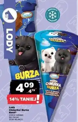 Netto Lód burza Koral oferta
