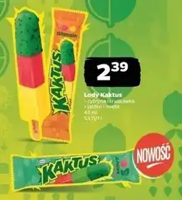 Netto Lody jabłkowo- miętowe Nestle Kaktus oferta