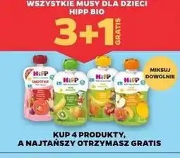 Netto Mus owocowy mango-jabłko-brzoskwinia Hipp Organic oferta