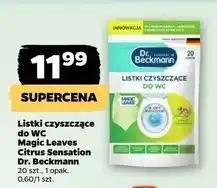Netto Listki czyszczące do wc citrus Dr. Beckmann oferta