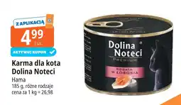 E.Leclerc Karma dla kota bogata w łososia Dolina Noteci oferta