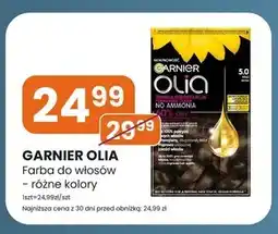 Vica Koloryzacja włosów Garnier oferta