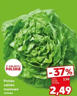 Kaufland Sałata masłowa oferta
