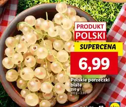 Lidl Porzeczki białe polskie Ryneczek Lidla oferta