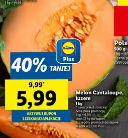Lidl Melon Cantaloupe Lidl oferta