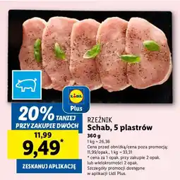 Lidl Schab plastry Lidl oferta