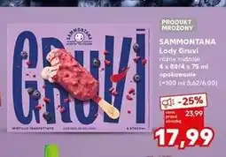 Kaufland Lody mirtillo inaspettato Sammontana Gruvi oferta