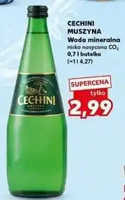 Kaufland Woda niskonasycona co2 Muszyna Cechini oferta