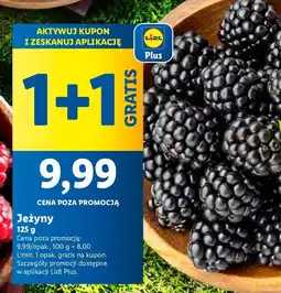 Lidl Jeżyny Ryneczek Lidla oferta
