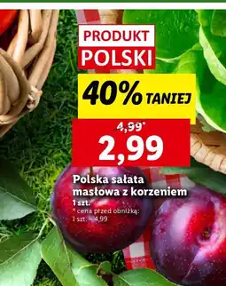 Lidl Sałata masłowa z korzeniem Lidl oferta