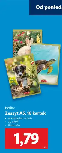 Lidl Herlitz Zeszyt A5 oferta