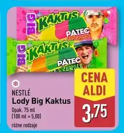 ALDI Lody Big Kaktus różne rodzaje Nestle oferta