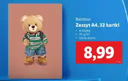 Lidl Narcissus Zeszyt A4 oferta
