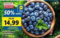 Lidl Polskie borówki amerykańskie oferta