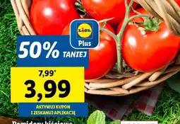 Lidl Pomidor kiściowy oferta