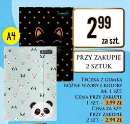 Dino Teczka z gumką oferta