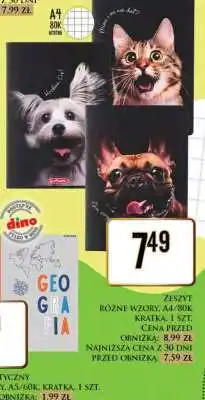 Dino ZESZYT RÓŻNE WZORY, A4/80K kratka, 1 szt oferta