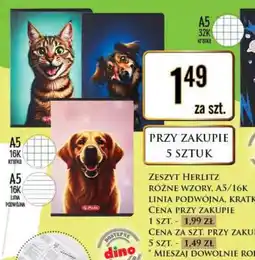 Dino ZESZYT HERLITZ oferta