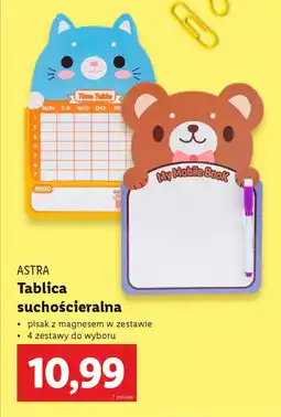 Lidl ASTRA Tablica suchościeralna oferta