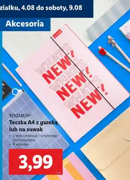 Lidl Teczka A4 z gumką lub na suwak oferta