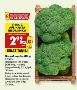 Biedronka Brokuł Biedronka oferta