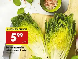 Biedronka Sałata rzymska mini Biedronka oferta