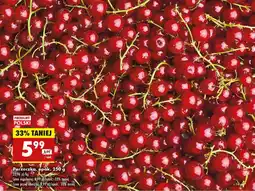 Biedronka Porzeczka czerwona Biedronka oferta