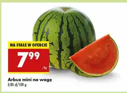 Biedronka Arbuz mini Biedronka oferta