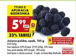 Biedronka Jeżyna polska Biedronka oferta