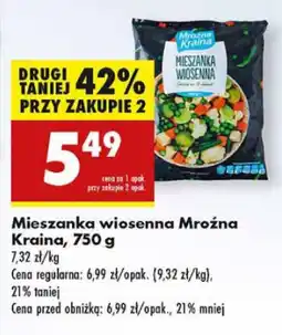 Biedronka Mieszanka wiosenna Mroźna Kraina oferta
