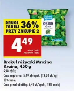 Biedronka Brokuł różyczki Mroźna Kraina oferta