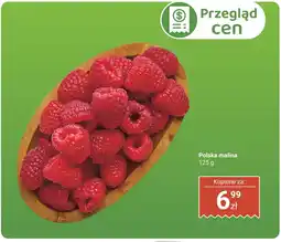 Biedronka Polska malina Biedronka oferta
