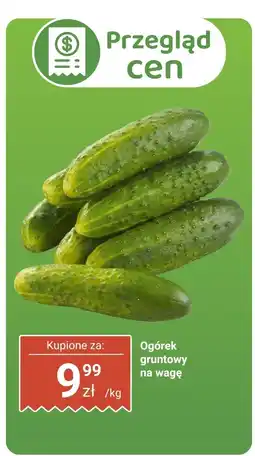 Biedronka Ogórek gruntowy Biedronka oferta