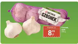 Biedronka Czosnek Warzywniak oferta