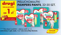 Biedronka Pieluchomajtki Pampers pants oferta