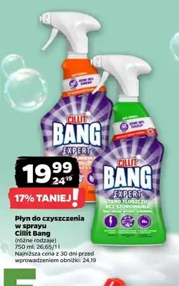 Netto Płyn do czyszczenia Cillit Bang oferta
