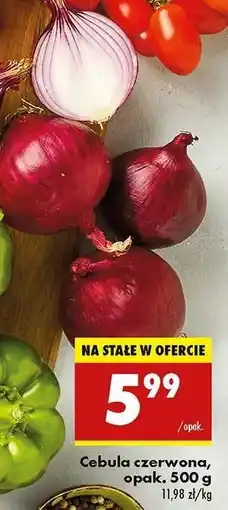 Biedronka Cebula czerwona opak . 500 g oferta