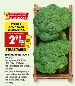 Biedronka Brokuł opak 500 g oferta