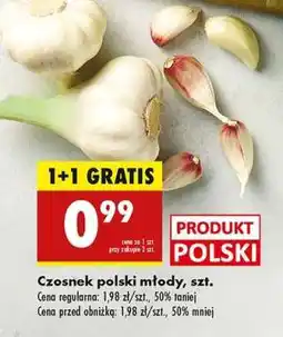Biedronka Czosnek polski młody, szt oferta