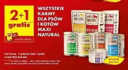 Biedronka Karma dla kota indyk z przepiórką Maxi Natural oferta