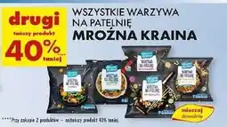 Biedronka Warzywa na patelnie po hiszpańsku Mroźna Kraina oferta