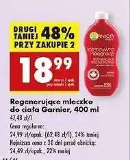 Biedronka Mleczko do ciała regenerujące Garnier Intensywna Pielęgnacja Skóry oferta